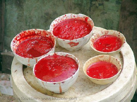 Zuppa di sangue fresco