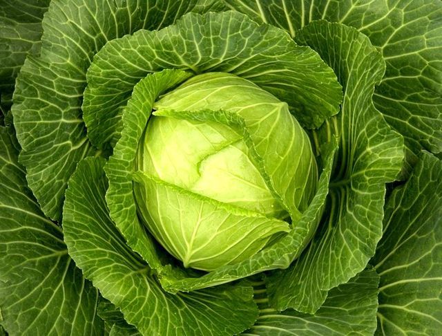 I migliori prodotti per la perdita di peso e la bellezza