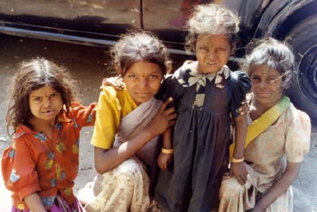 L'India è il leader nella diffusione delle malattie degli animali