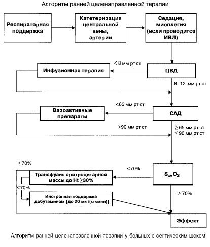 Algoritmo di terapia mirata precoce in pazienti con shock settico