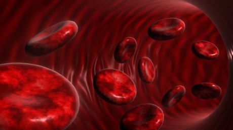 sangue