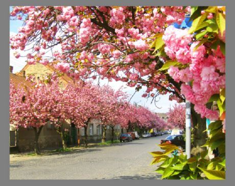 Vacanze di primavera nella parte occidentale dell'Ucraina