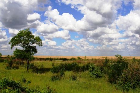 Vacanze di primavera nella steppa ucraina