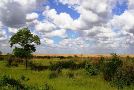 Riposare in primavera nella steppa ucraina