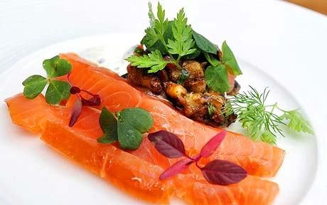 Salmone