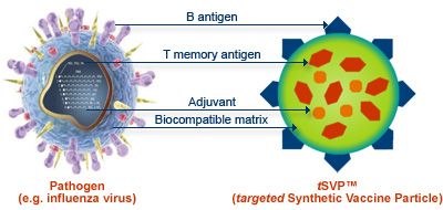 Creato un vaccino sintetico complesso basato su molecole di DNA